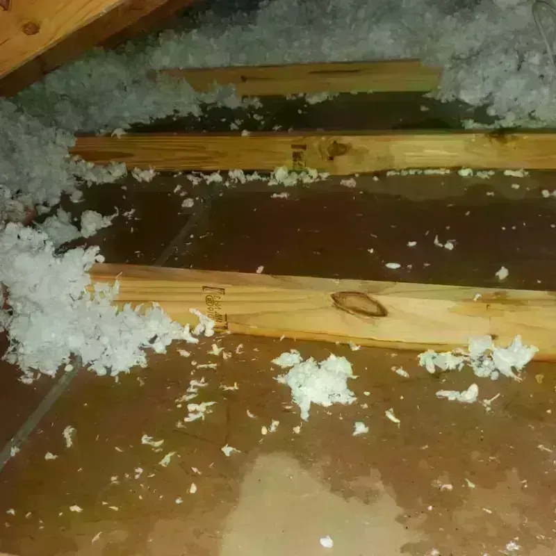 Attic Water Damage in Woolwich, ME