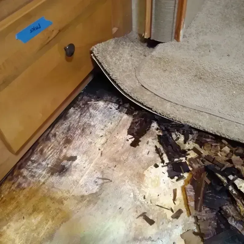 Best Wood Floor Water Damage Service in Woolwich, ME